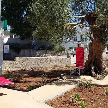 Casa Oliveiras * Alvados