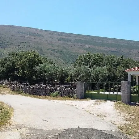 Casa Oliveiras Villa *