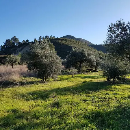 Casa Oliveiras * Alvados