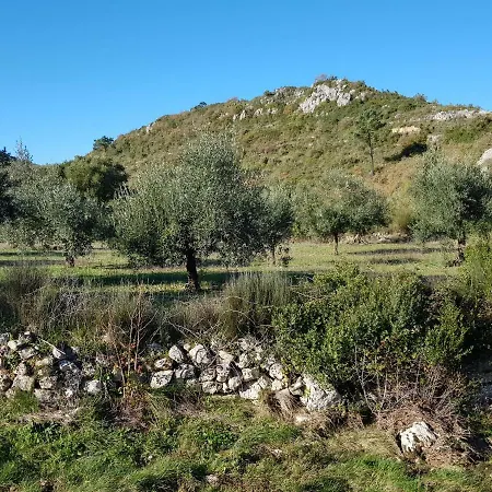 Casa Oliveiras ヴィラ