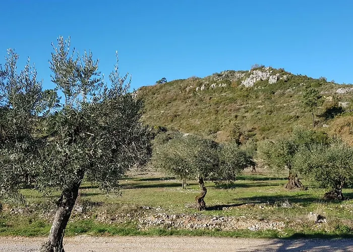 Casa Oliveiras 别墅