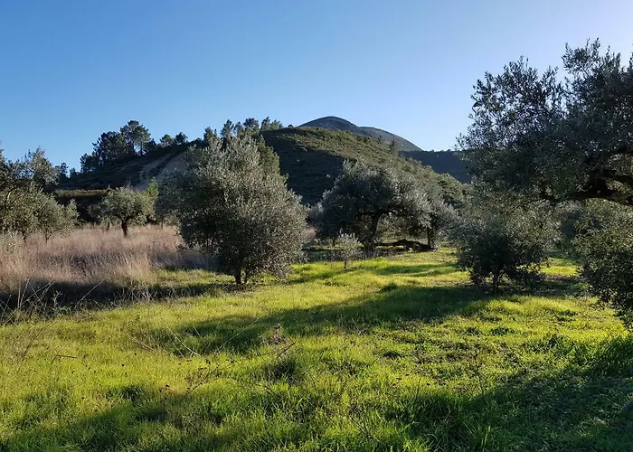 Casa Oliveiras * 阿尔瓦杜什