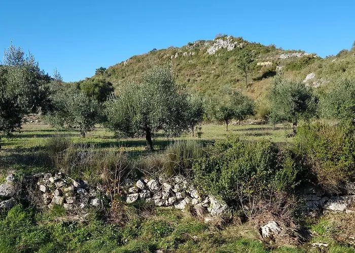 Casa Oliveiras 别墅